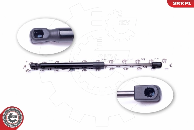 Gas Spring, boot/cargo area